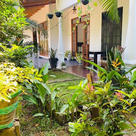 Fairview Dill Homestay Sigiriya Dış mekan fotoğraf
