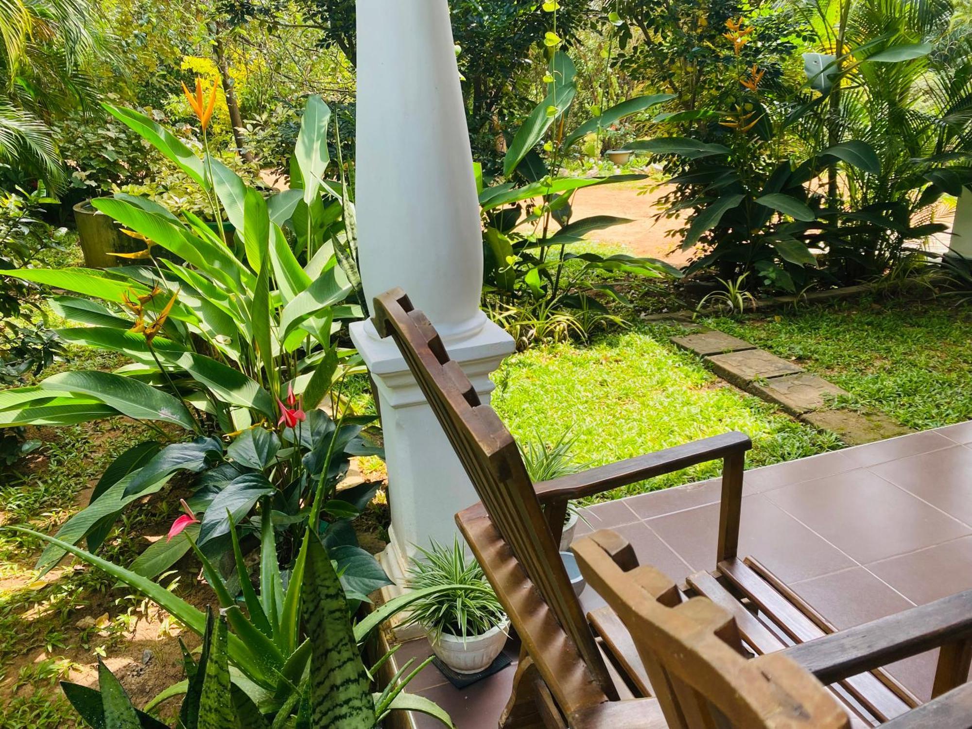 Fairview Dill Homestay Sigiriya Dış mekan fotoğraf