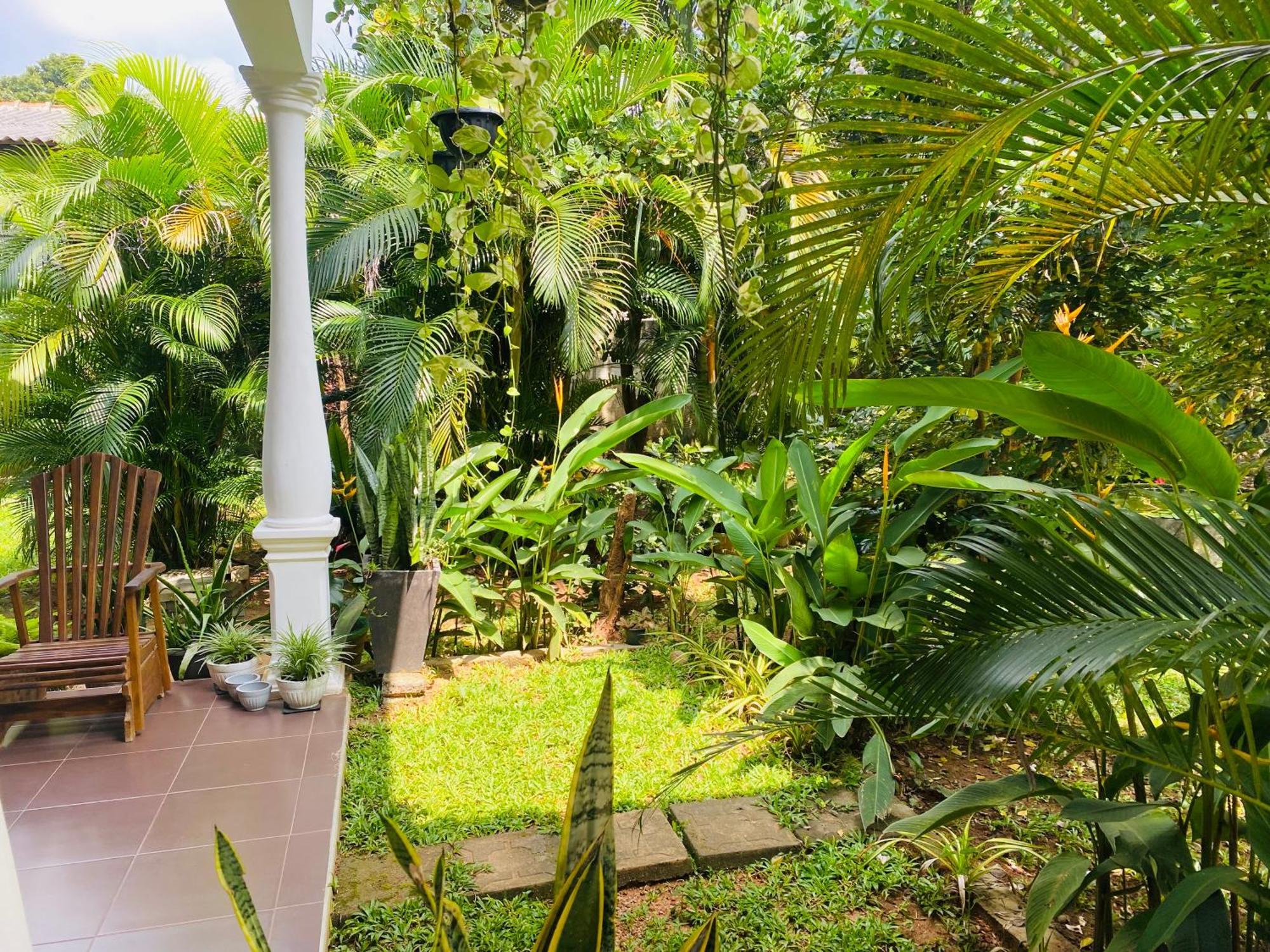 Fairview Dill Homestay Sigiriya Dış mekan fotoğraf